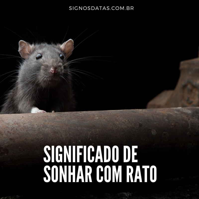 Significado de Sonhar com rato