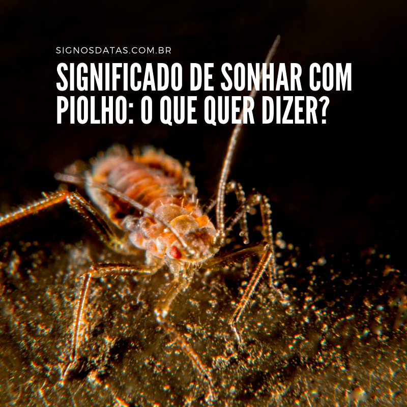 Sonhar com piolho é ruim? Saiba qual o significado evangélico de sonhar com  esse animal