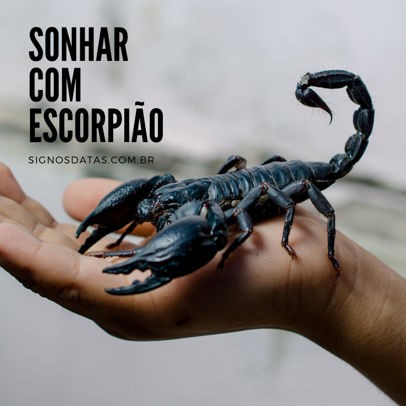 sonhar com escorpião