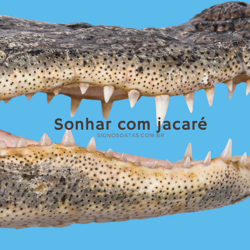 sonhar com jacare