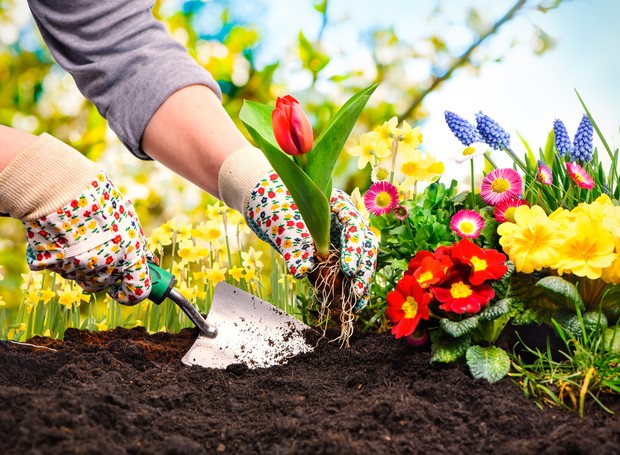 cultivo de flores