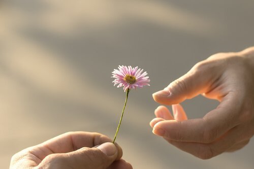 dando flor