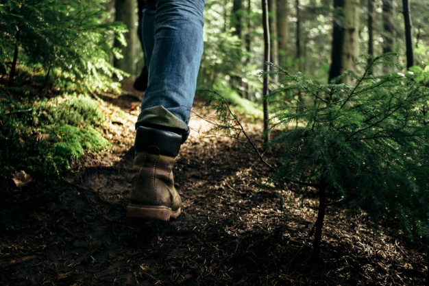 pernas de pessoa caminhando em floresta